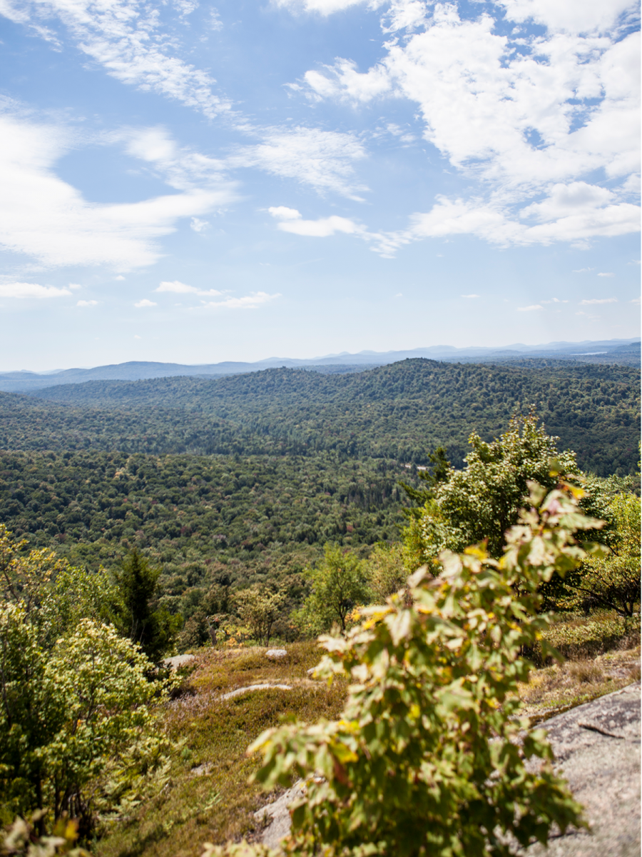 View from Goodman Mountain (Shaun Ondak photo)