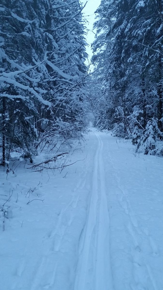 A great trail for beginner's - Old Wawbeek Road