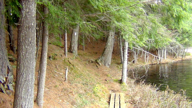 This path contiues around the lake, with bridges over boggy parts.
