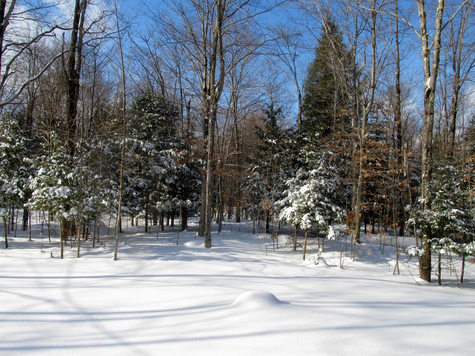 It can be a winter wonderland!