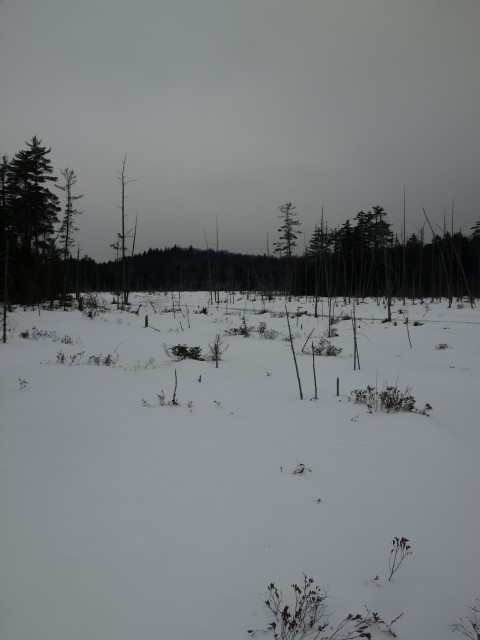 Slim Pond Slim Pond