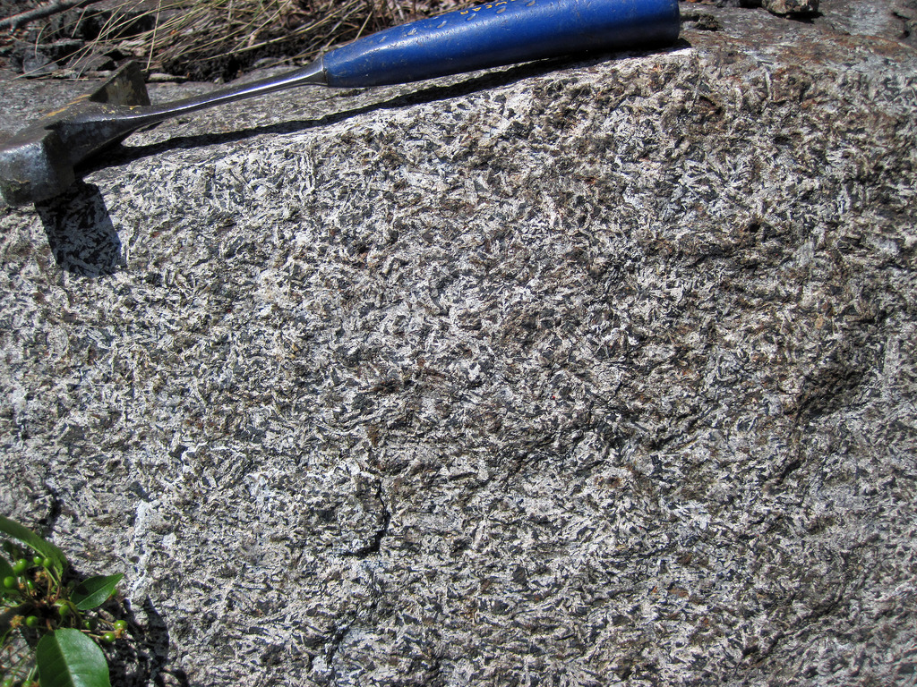 Gabbroic anorthosite