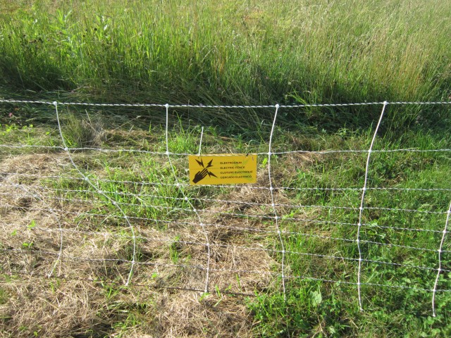 Beware: electric fencing!