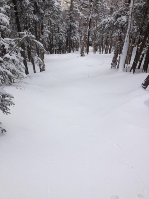 Ski Whiteface
