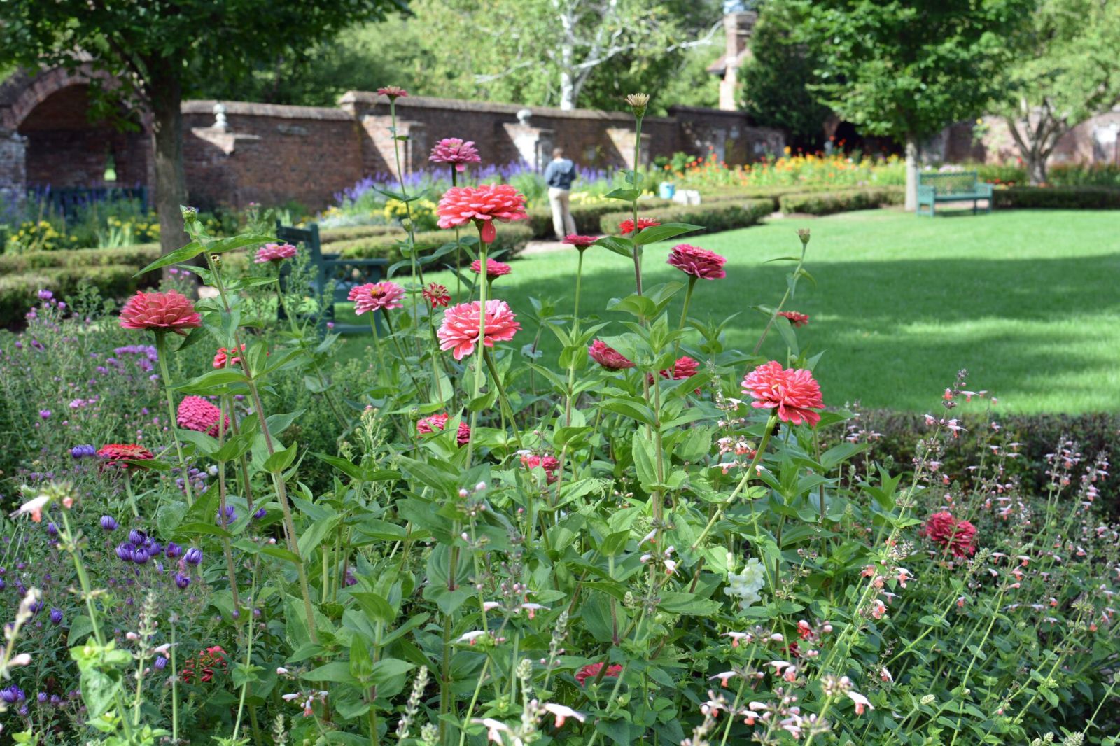 The King's Garden