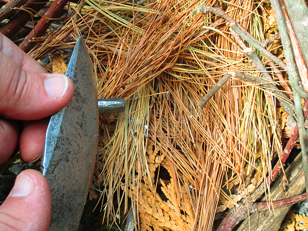 Loading the tinder with shavings