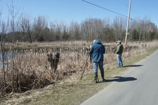 Birding at Point AuRoche