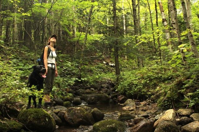 Anna pauses to admire the scenery before crossing one of several streams along the trail.