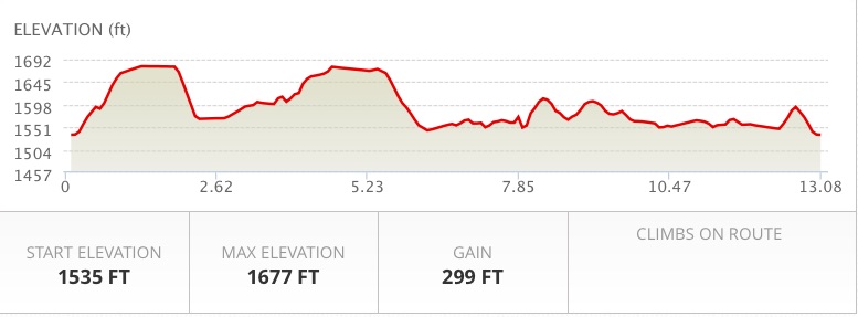 There's some flat there. And there. But yeah; we're all about shapely calves.