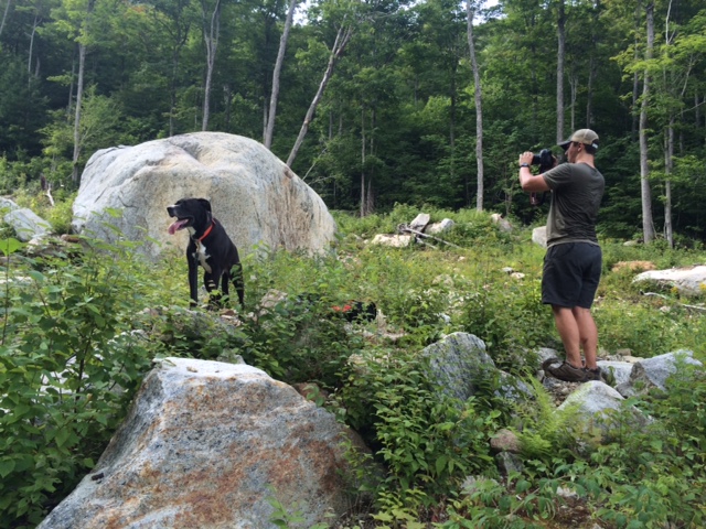 Capturing Memories