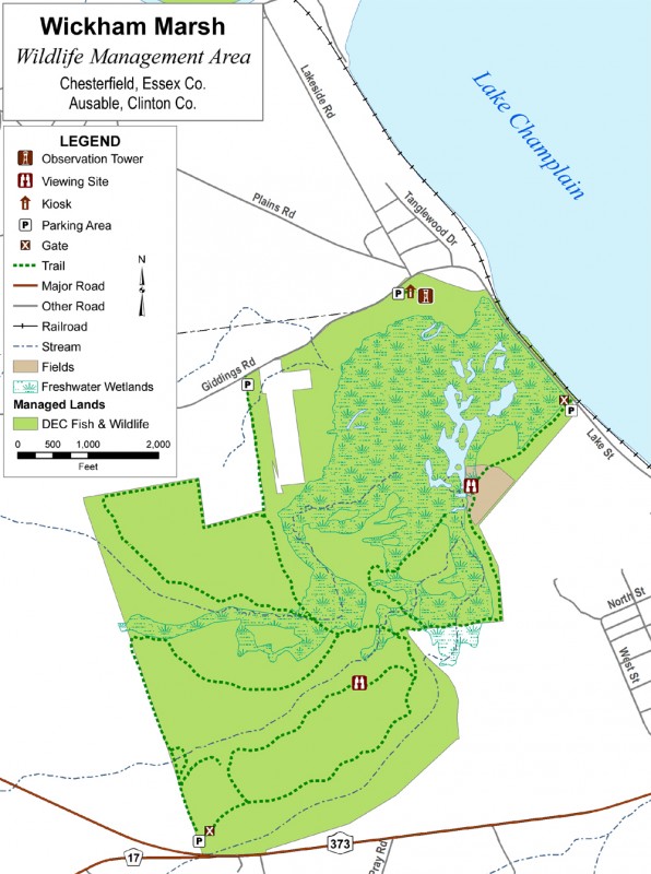 Wickham Marsh