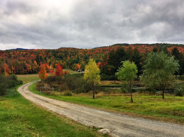 Scenic drives? We have some of the best.