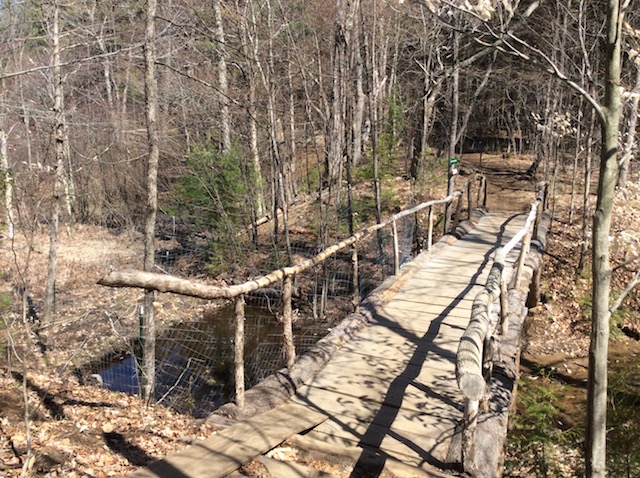 There are up to twenty students interning over the summers, who have built these trails, along with enclosures.