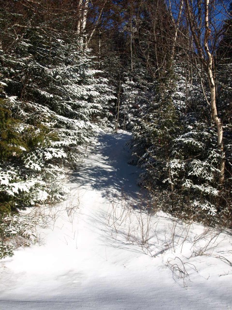 Trail