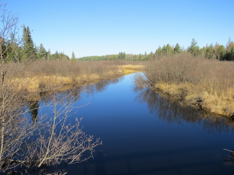 View from the bridge over the South Branch of the Grass River