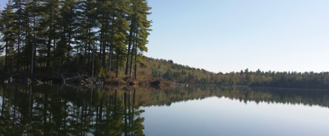 Little Clear Pond, in the early morning stillness Little Clear Pond in the early morning stillness