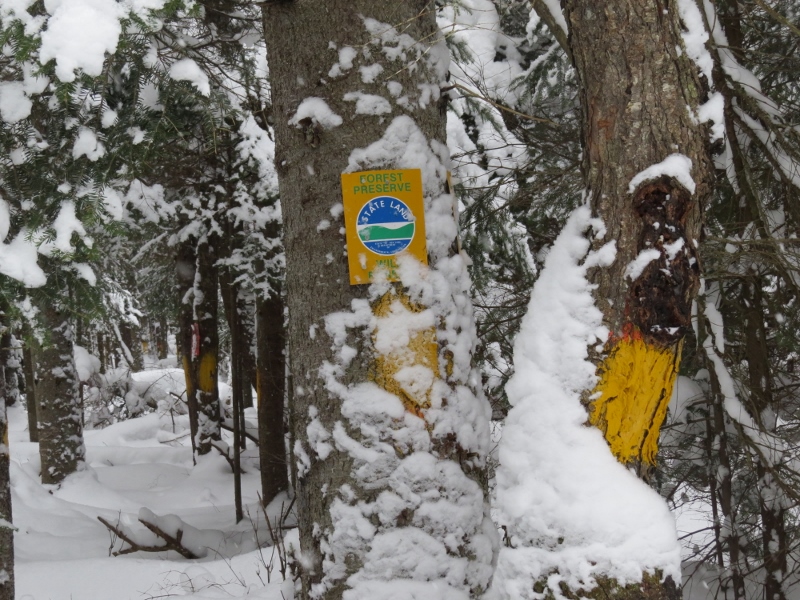 Yellow paint blazes designating state land