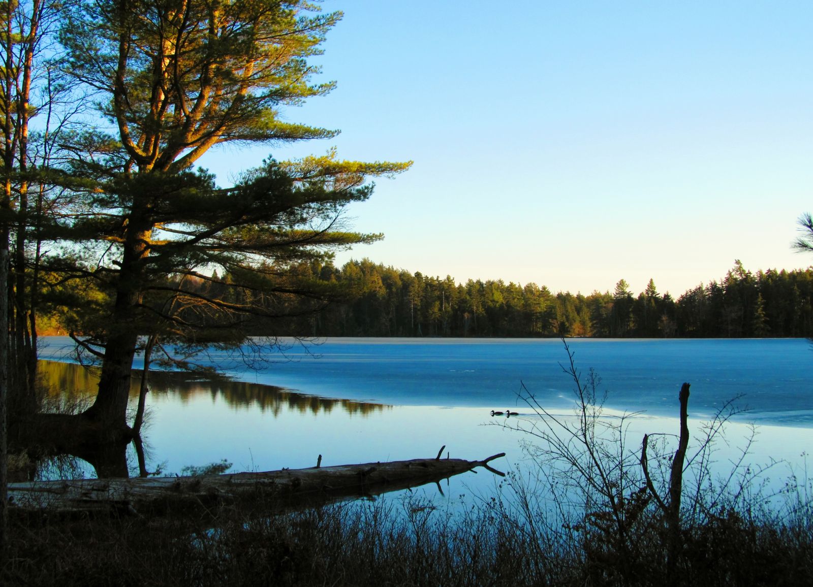 Polliwog Pond on 3/27/16.   Still a lot of ice!
