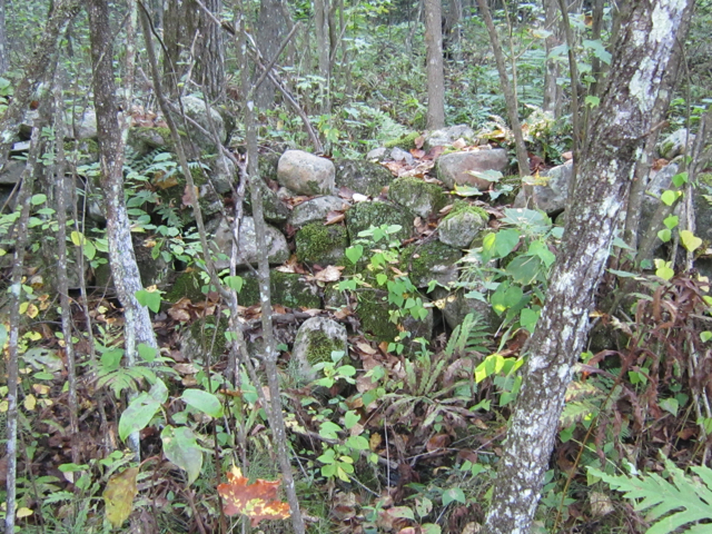Stonewall on Homestead Trail