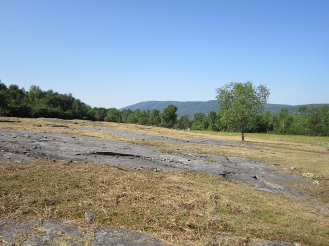 Preserving the historic landscape.