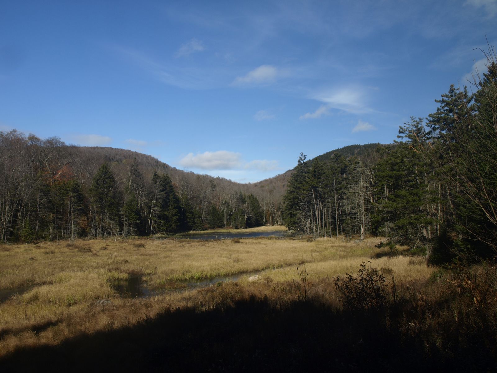 Bear and Dog Pond Mountains from Prouix Clearing
