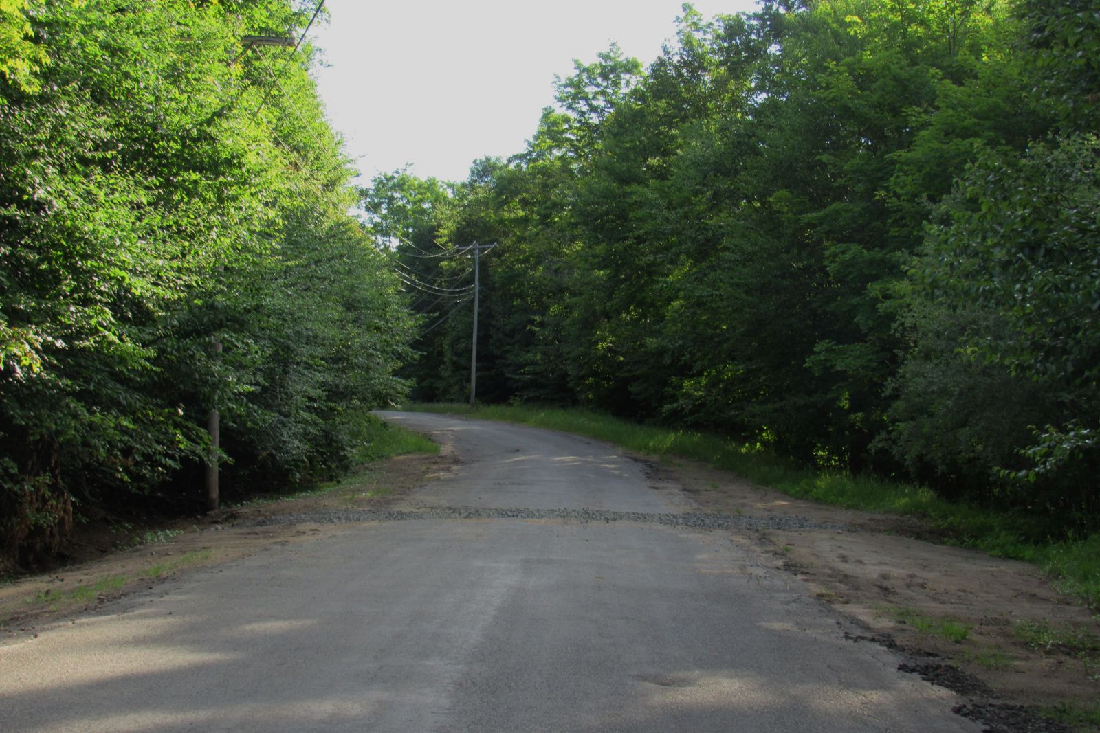 Watch out for this speed bump and critters!