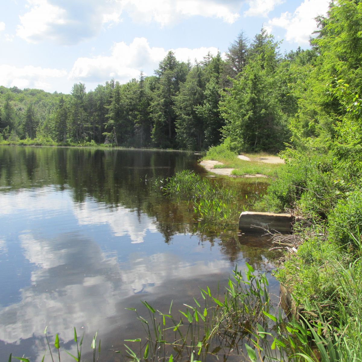 Clear Pond! So anxious to paddle this, next time!