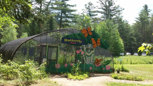 the Butterfly House lets us exist in their world, with many fun facts to share! the Butterfly House lets us exist in their world, with many fun facts to share!