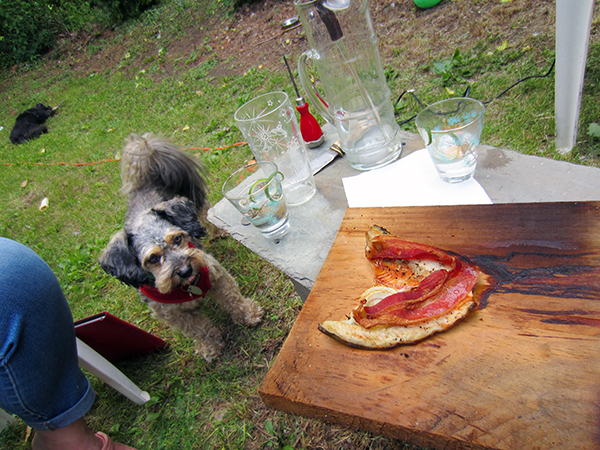 Plank Inspector