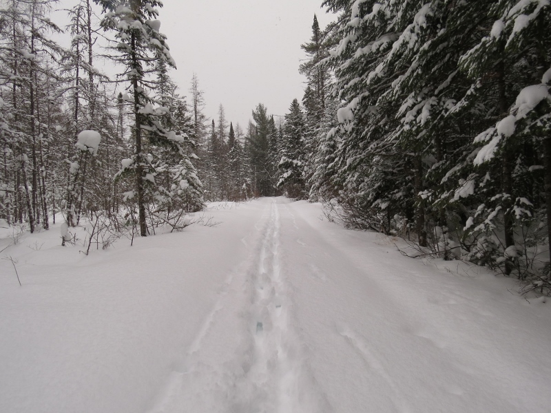 My ski trail to follow out!