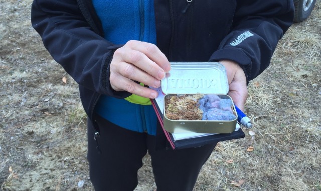 Altoids, one waterproof container to store tinder