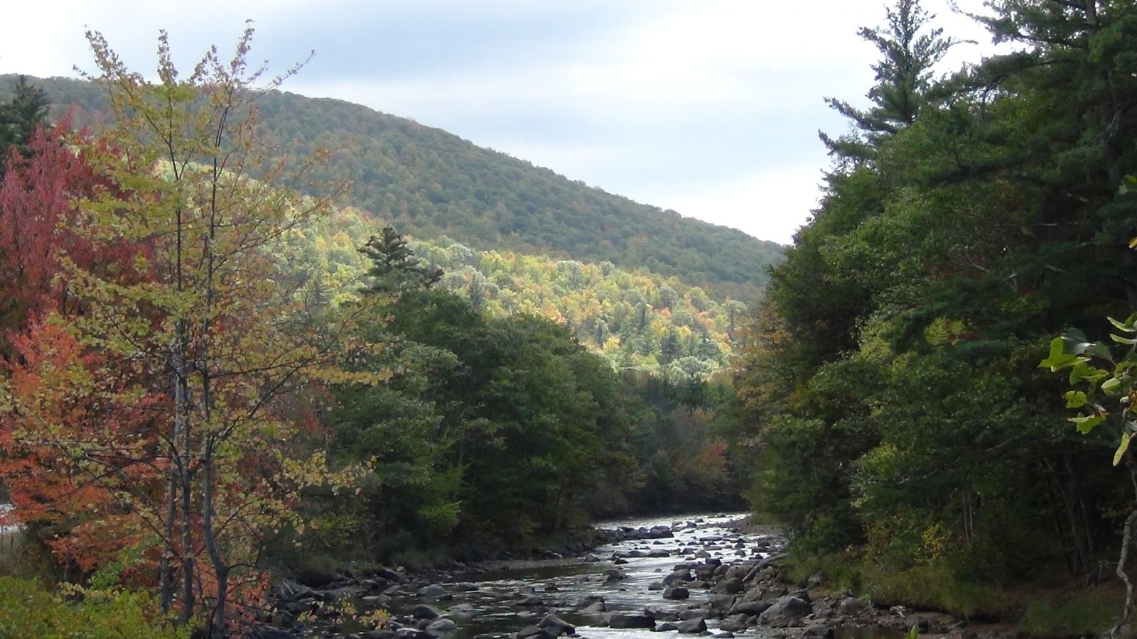 The trees by the river will be at a different stage than the trees exposed to colder temperatures on the mountain slopes.