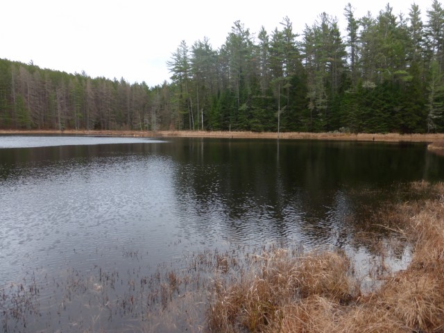 Last look at the pond. The lean-to is out of sight across the pond.
