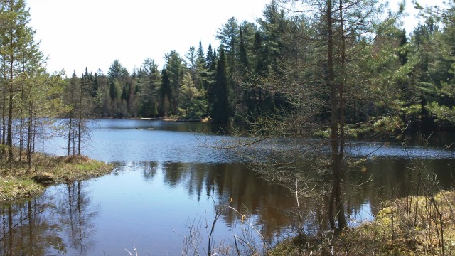 the Saranac River flows from Denny Park all the way to Bloomingdale. A fine morning or afternoon on the water! the Saranac River flows from Denny Park all the way to Bloomingdale. A fine morning or afternoon on the water!