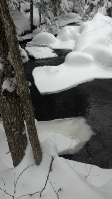 Brook