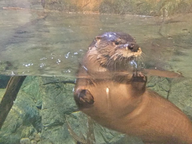 Up close and personal.