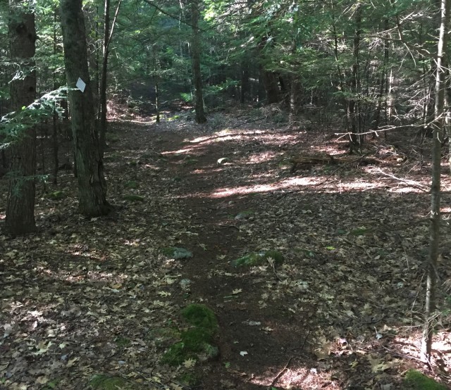 The Ridge Trail... It's on a ridge.