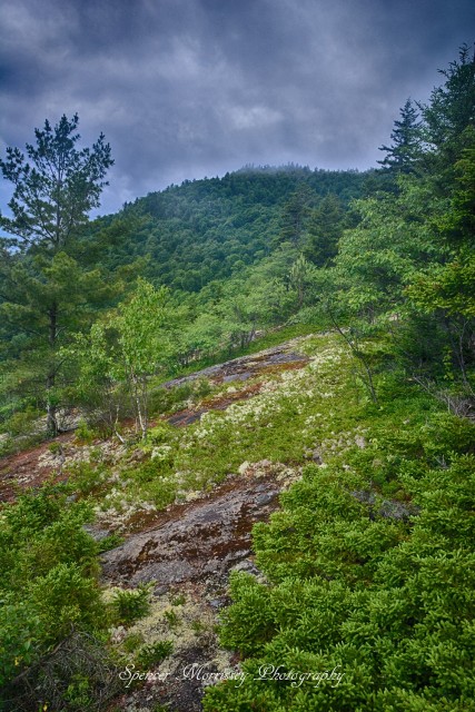 Open ridge