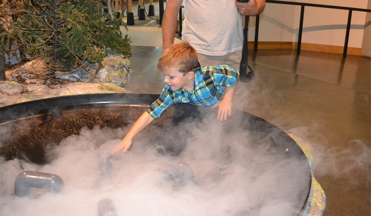 Getting wild at The Wild Center (ROOST/Brooke O'Neil photo)