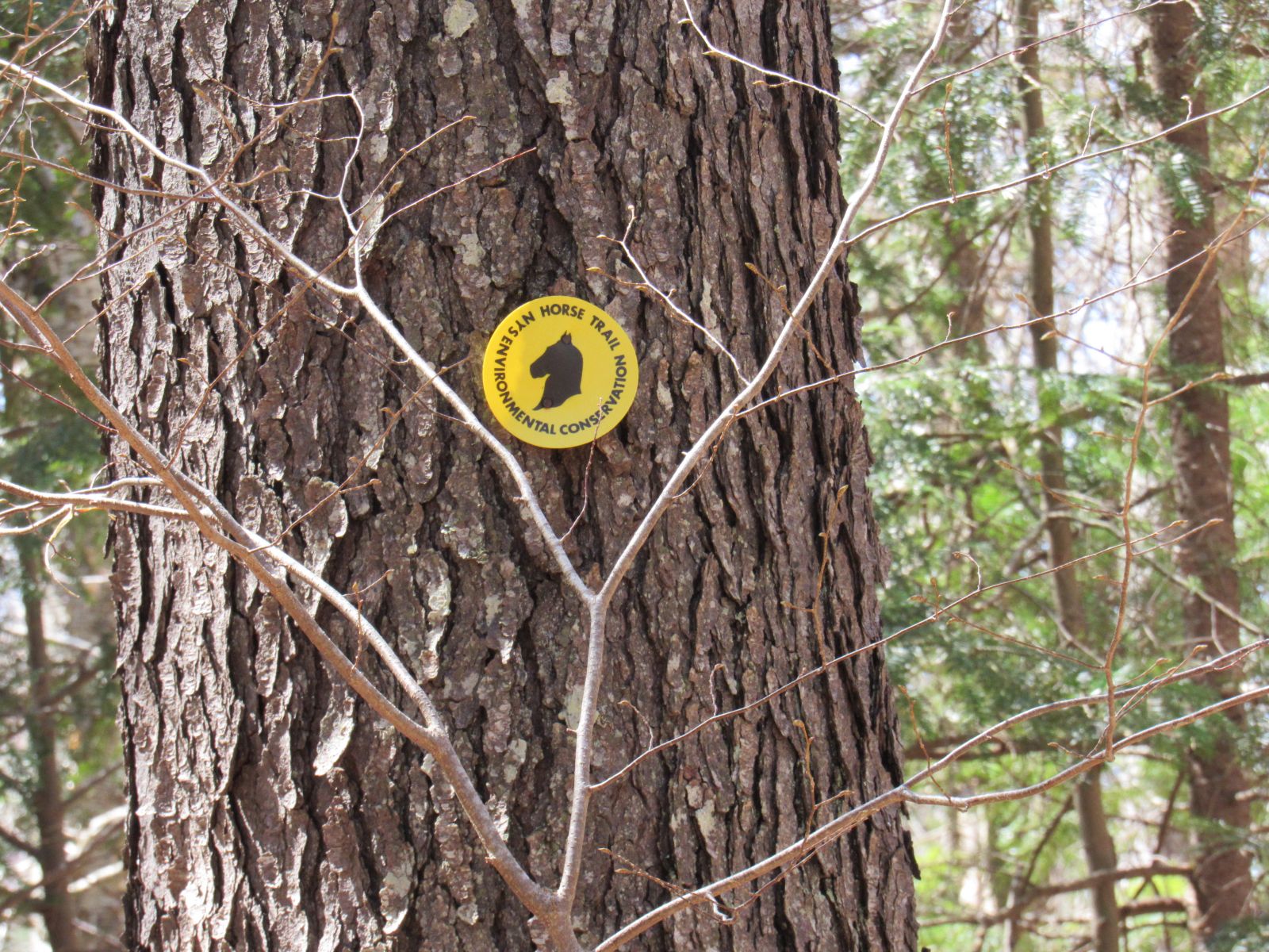 The trail markers