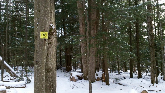 the trail is clearly marked with the kind of travel it is for