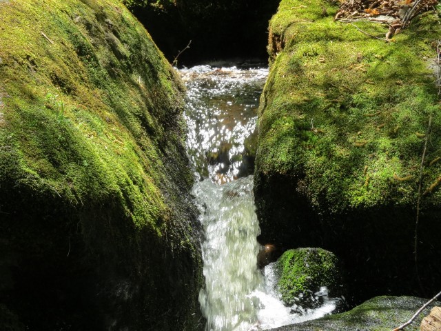 Brook along the Ampersand Mountain Trail