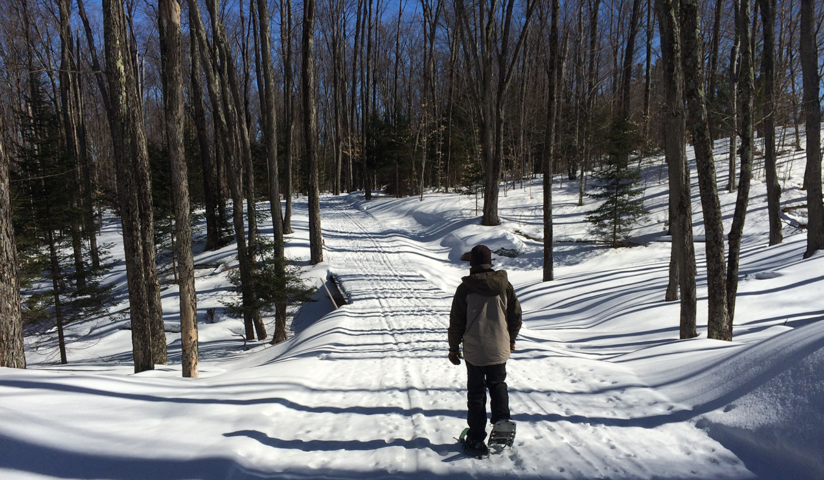 Trails at The Tupper Lake Cross Country Ski Center still had great coverage as of 3/13/15