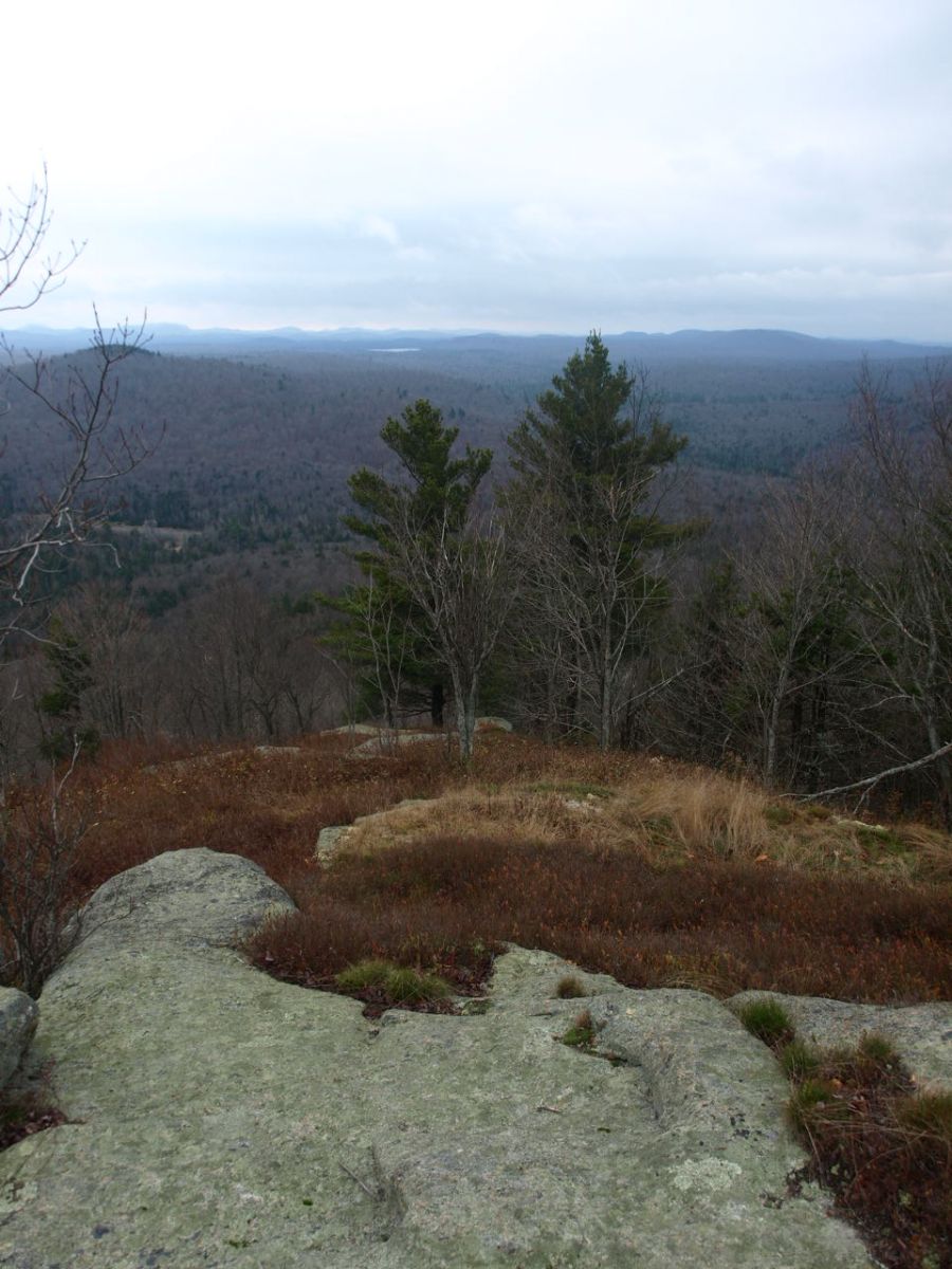 View from the summit of Goodman