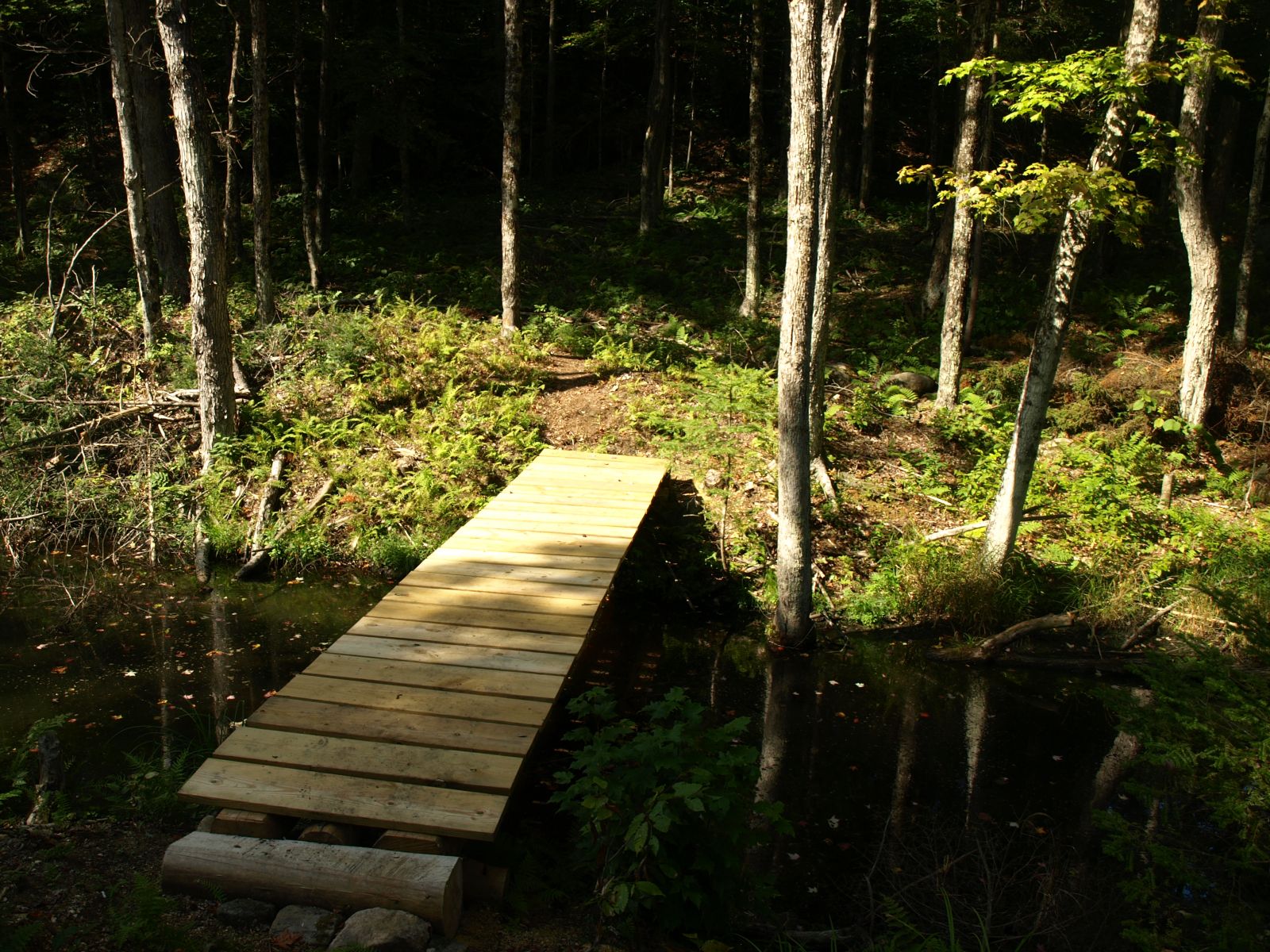 Bridge Along West Connector