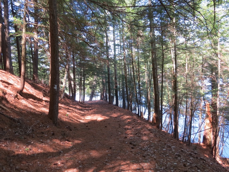 Mountaineer Trail