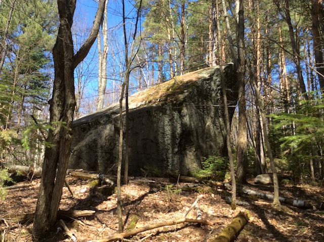Boulders of every size make for a kind of granite town, with paths to view them from. Boulders of every size make for a kind of granite town, with paths to view them from.