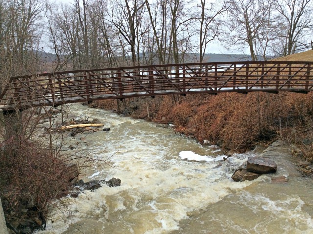 Lee Park has walkways to safely enjoy the roaring river.