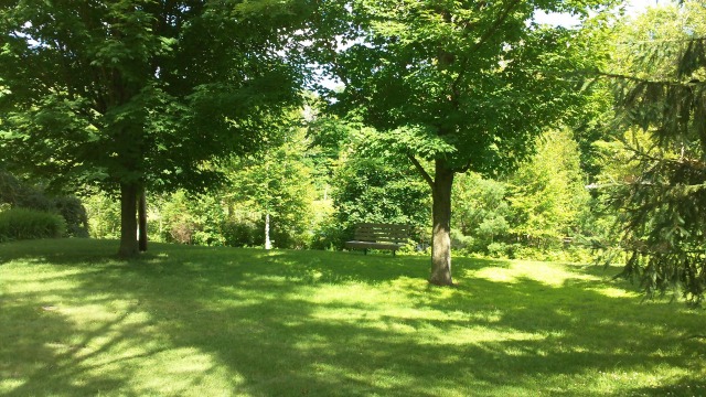 there are eight parks in Saranac Lake -- visit them all! there are eight parks in Saranac Lake -- visit them all!