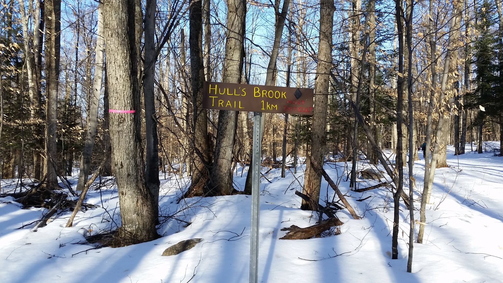 Can't wait until this trail opens for skiers!